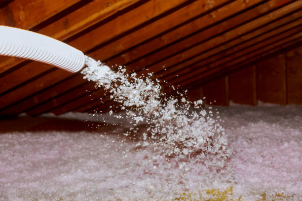 Best Energy Efficiency Solutions in World Golf Village, FL