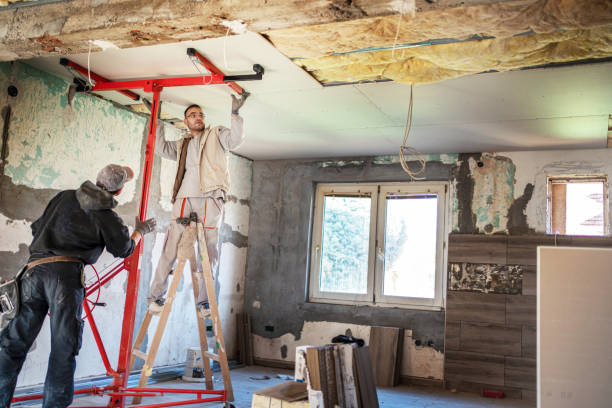 Best Insulation for Specific Applications in World Golf Village, FL