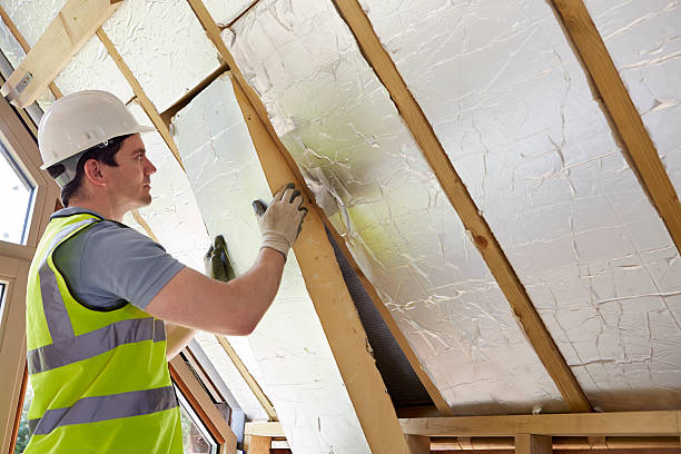 Best Types of Insulation in World Golf Village, FL