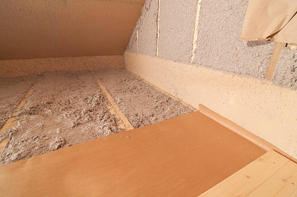 Best Insulation Maintenance and Repair in World Golf Village, FL